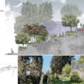 MARJAN 2020: Započela procedura nabave za radove na Revitalizaciji Botaničkog vrta