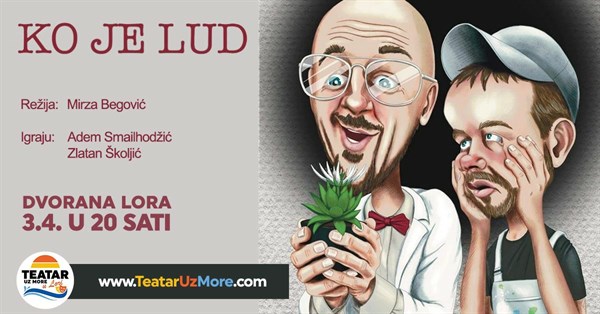 Ko je lud, komedija